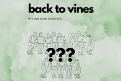 back_to_vines.png